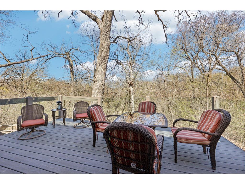 3489 Wolfberry Court Eagan MN 55123 7057838 image48