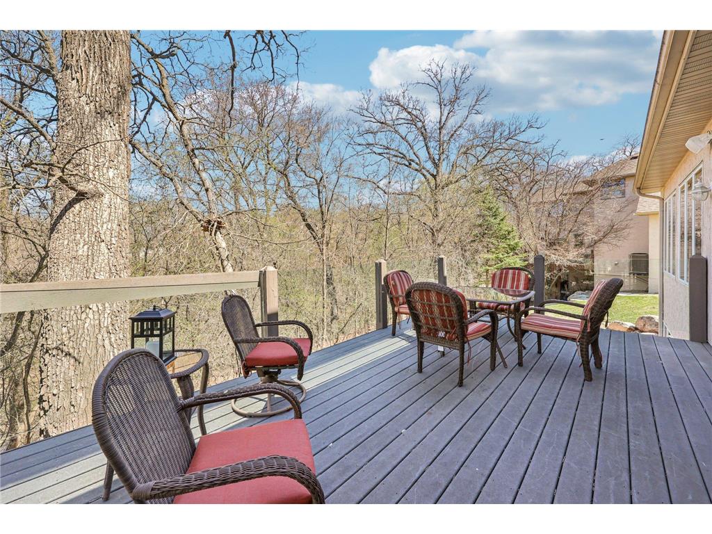 3489 Wolfberry Court Eagan MN 55123 7057838 image50