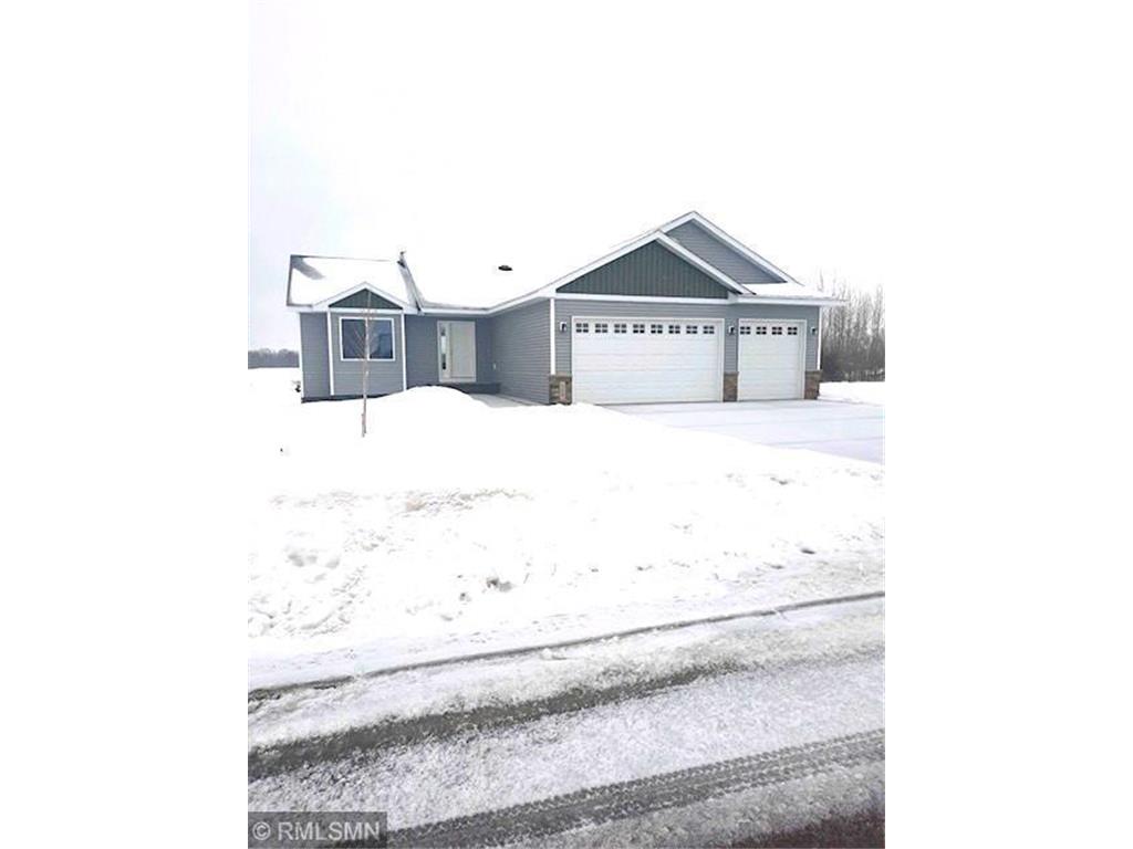 349 Cedar Trail Drive Le Sueur MN 56058 6322446 image1