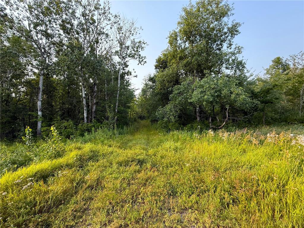 34994 Highway 47 Hillman Twp MN 56342 6765930 image40