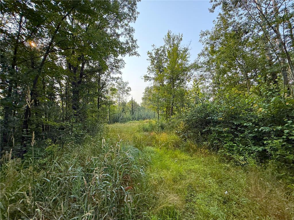 34994 Highway 47 Hillman Twp MN 56342 6765930 image41