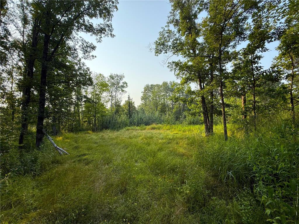 34994 Highway 47 Hillman Twp MN 56342 6765930 image42