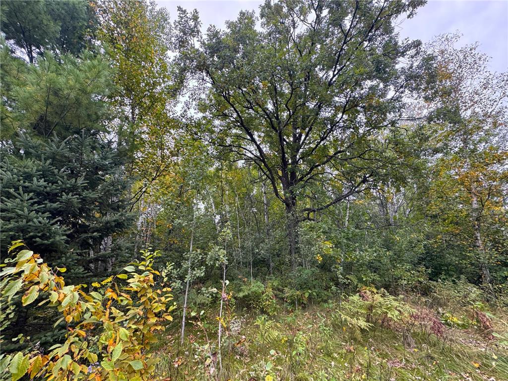 34xxx 80ac 298th Street Aitkin MN 56431 6788246 image10