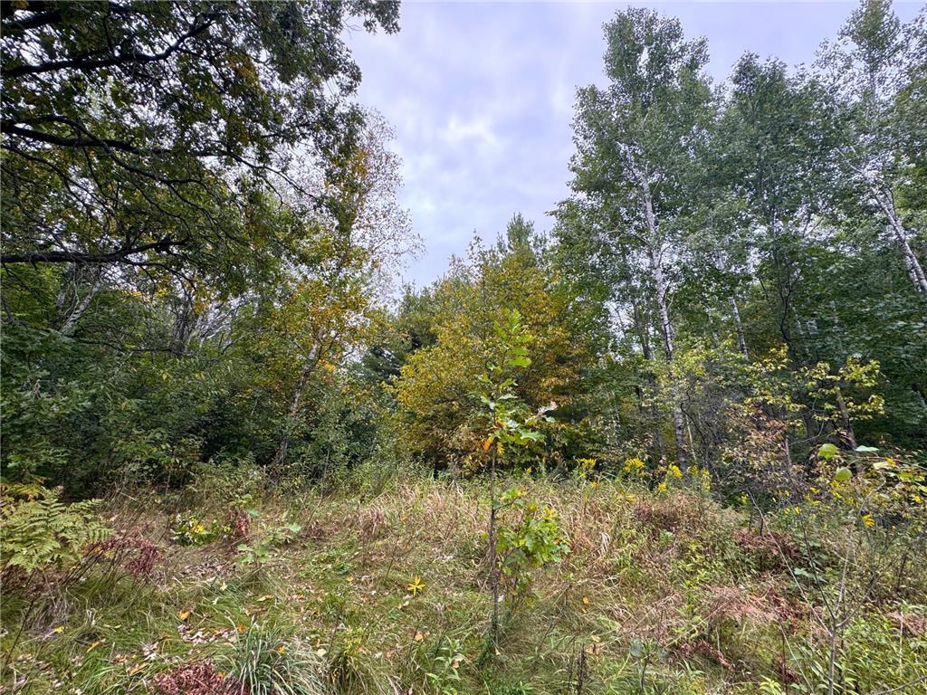 34xxx 80ac 298th Street Aitkin MN 56431 6788246 image11