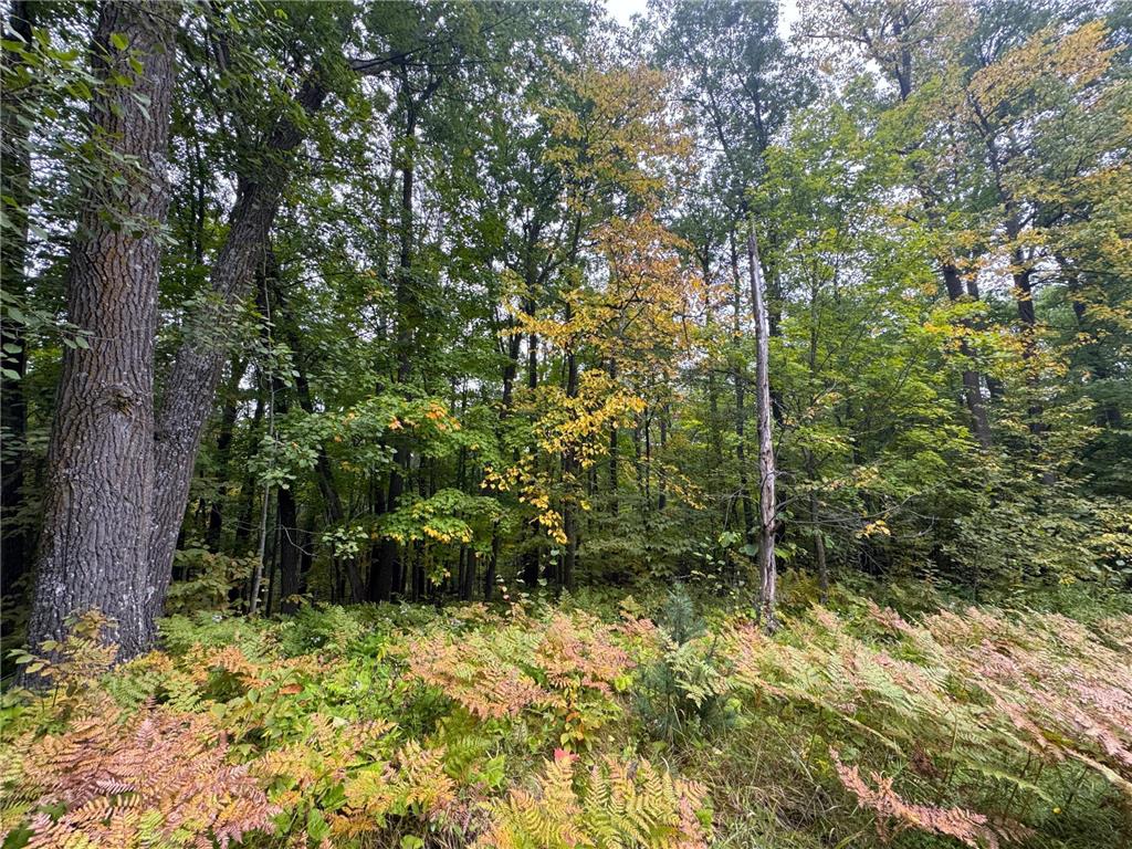 34xxx 80ac 298th Street Aitkin MN 56431 6788246 image4