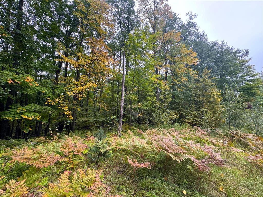 34xxx 80ac 298th Street Aitkin MN 56431 6788246 image5