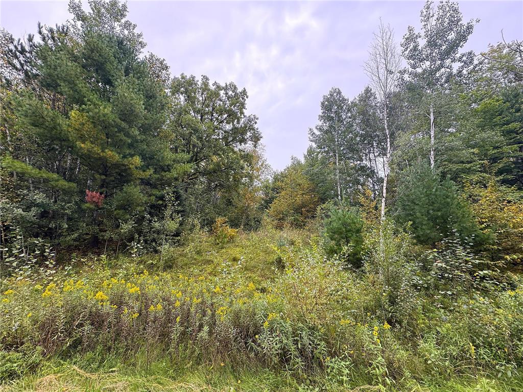 34xxx 80ac 298th Street Aitkin MN 56431 6788246 image7