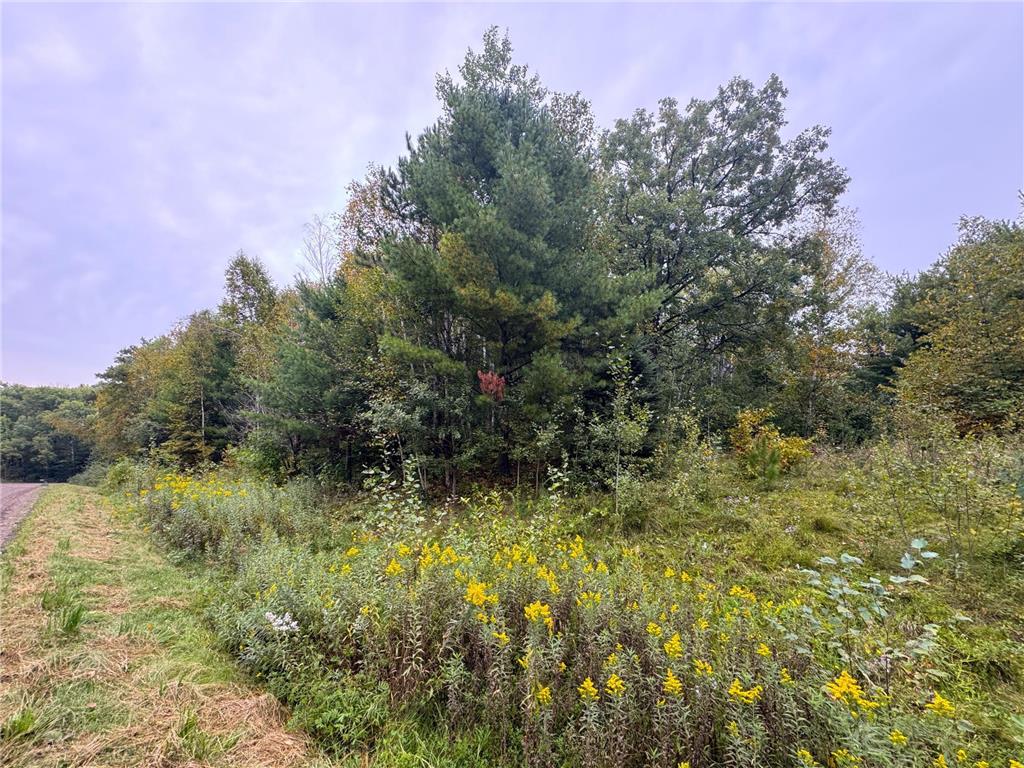 34xxx 80ac 298th Street Aitkin MN 56431 6788246 image9