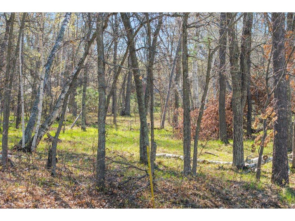 34xxx Lot 1 Happy Landing Road Crosslake MN 56442 - Cross Lake Reservoir 7074362 image18