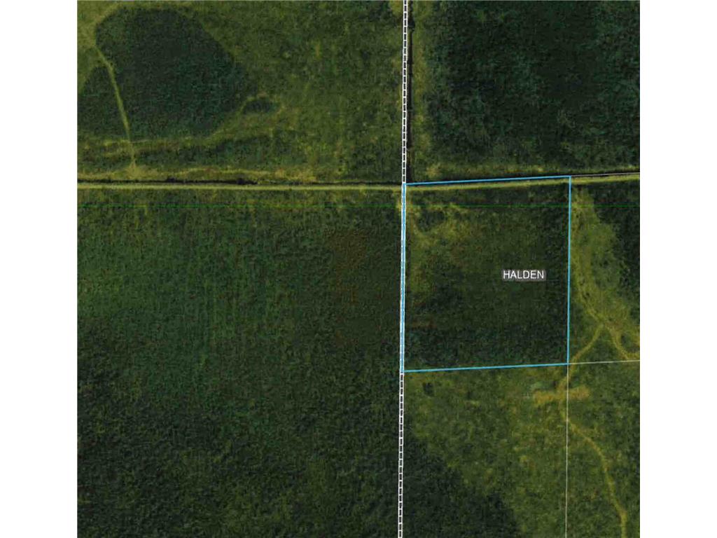 35 AC Hedbom Forest Road Floodwood MN 55736 6375296 image1