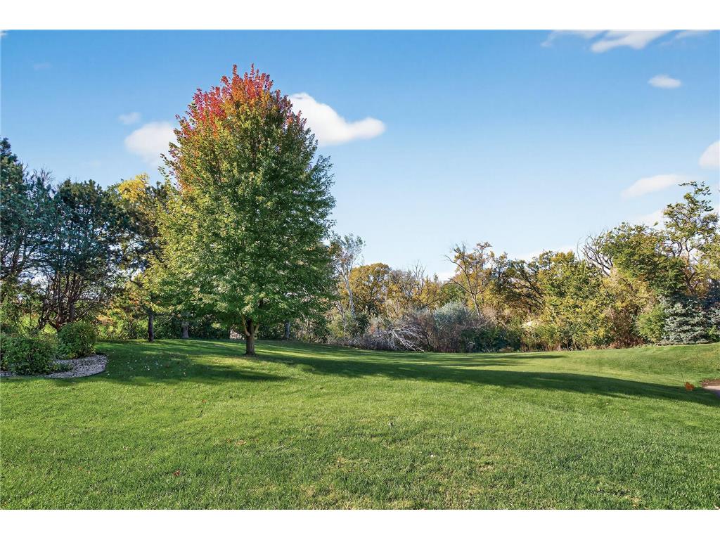 35 Nathan Lane N #223 Plymouth MN 55441 6788440 image28