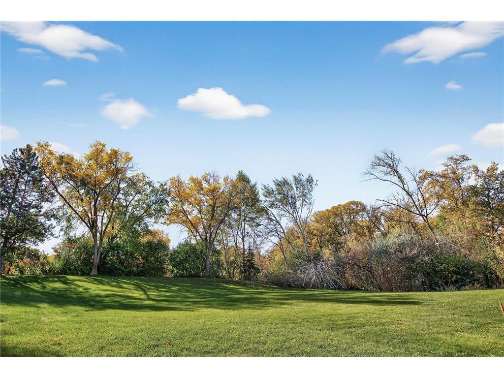 35 Nathan Lane N #223 Plymouth MN 55441 6788440 image29