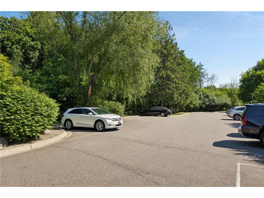 35 Nathan Lane N #303 Plymouth MN 55441 7074330 image57