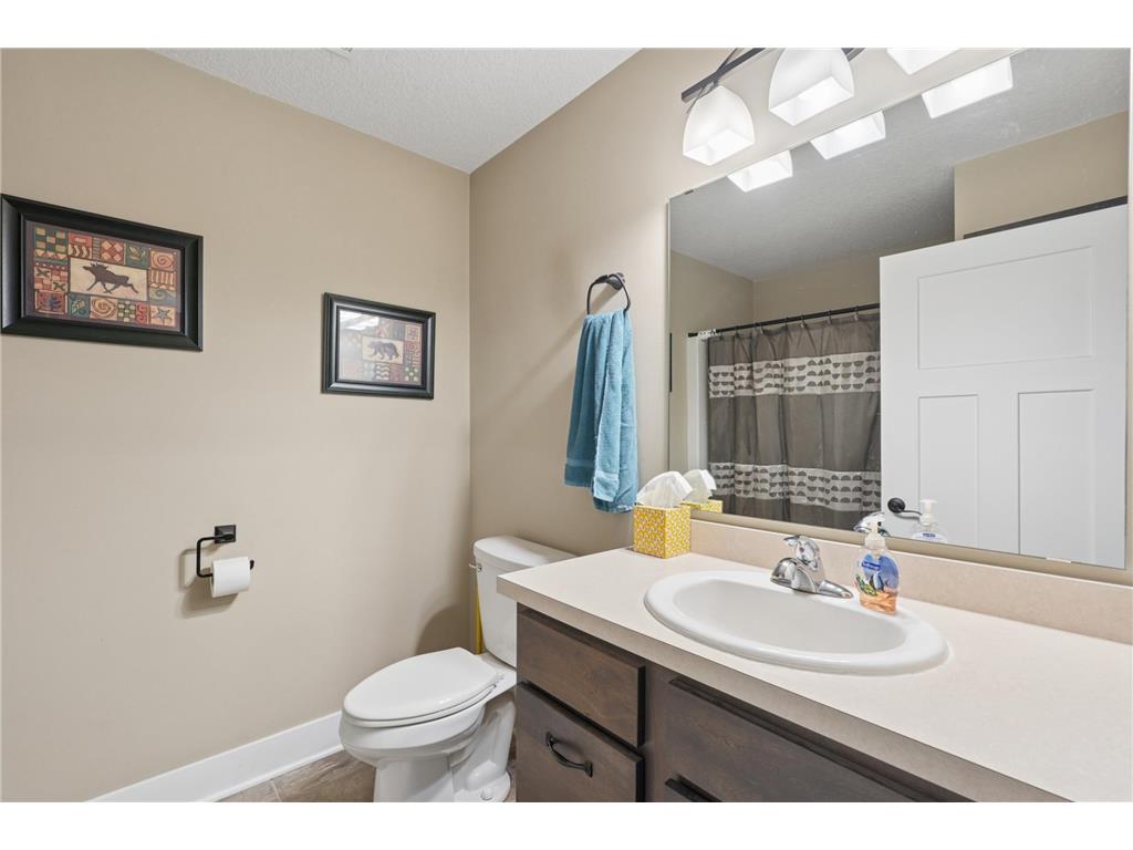 350 Blue Spruce Lane Somerset WI 54025 - Apple River 7080394 image12