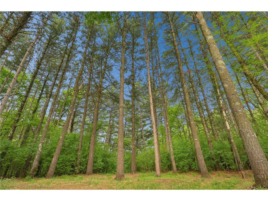 350 Blue Spruce Lane Somerset WI 54025 - Apple River 7080394 image3