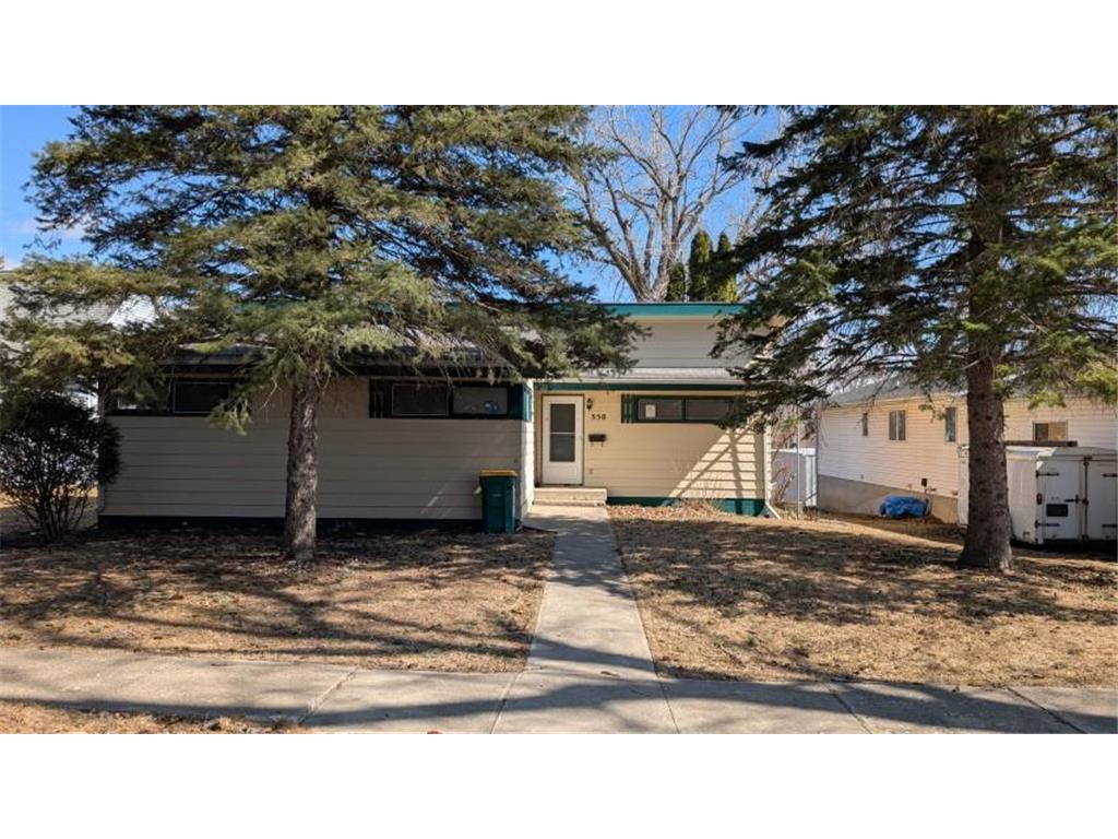 350 Mound Avenue Balaton MN 56115 6696789 image1