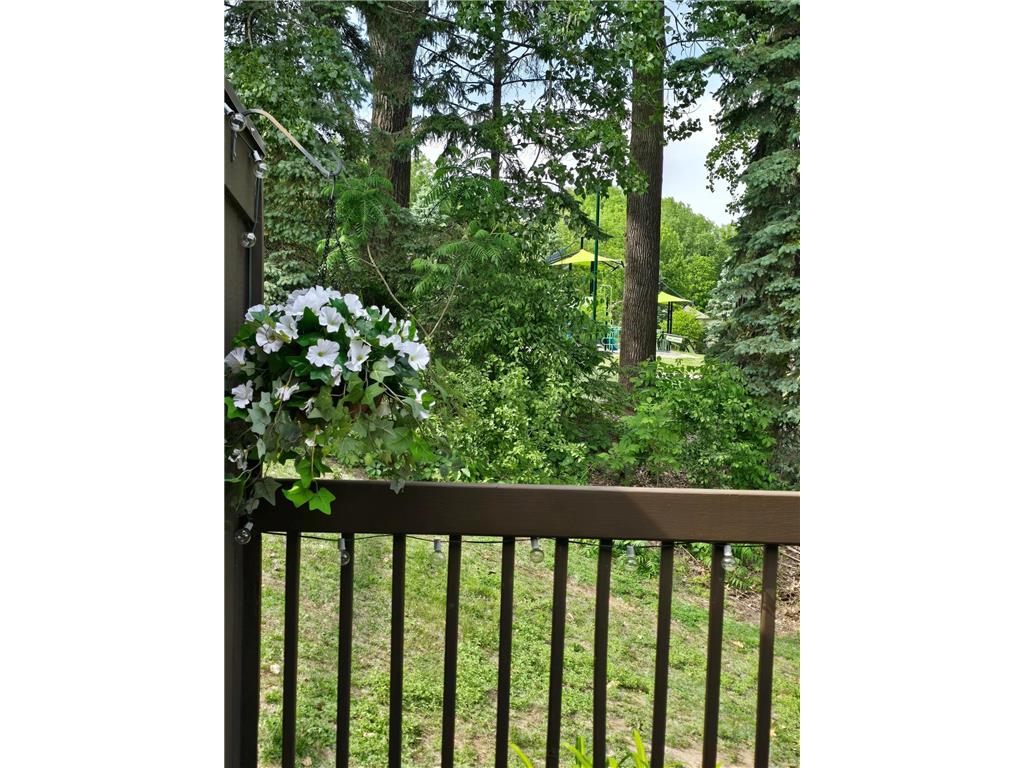 350 Oakwood Drive #9 New Brighton MN 55112 7079904 image24