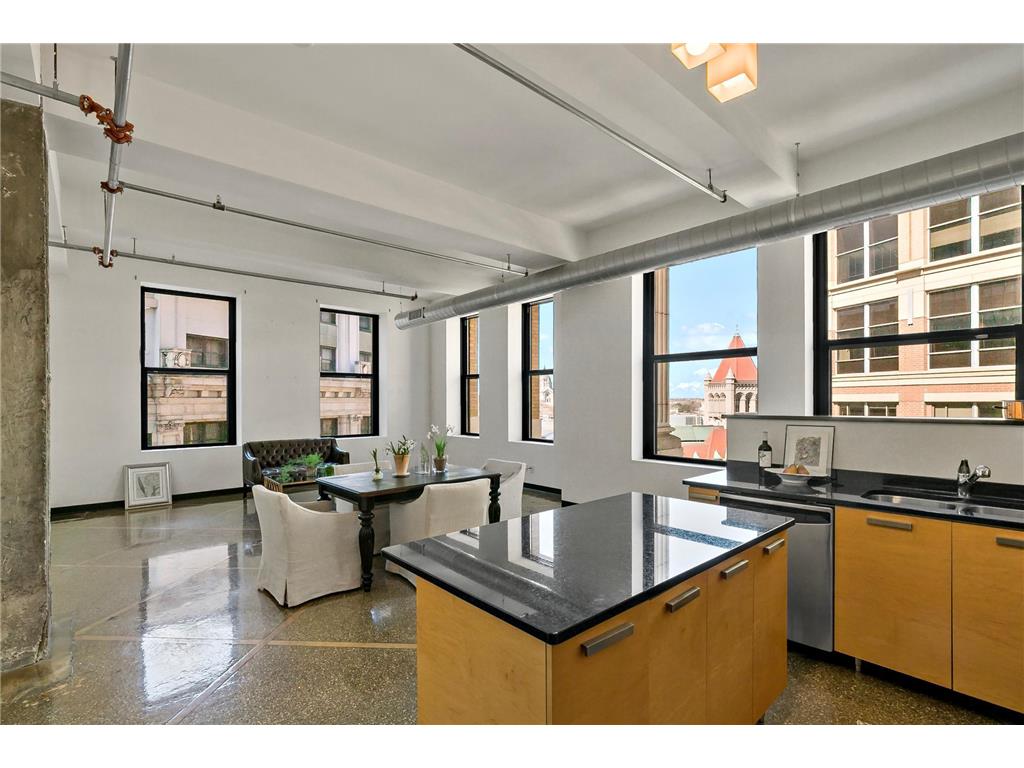 350 Saint Peter Street #1101 Saint Paul MN 55102 6685008 image1