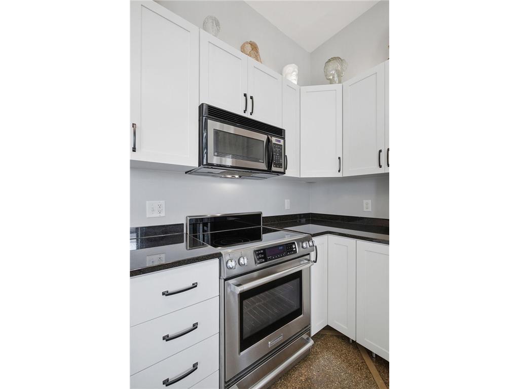 350 Saint Peter Street #1102 Saint Paul MN 55102 7108958 image12