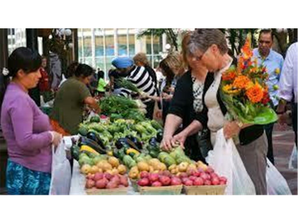 350 Saint Peter Street #307 Saint Paul MN 55102 6626536 image30