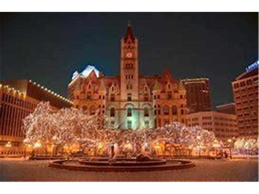 350 Saint Peter Street #307 Saint Paul MN 55102 6626536 image39