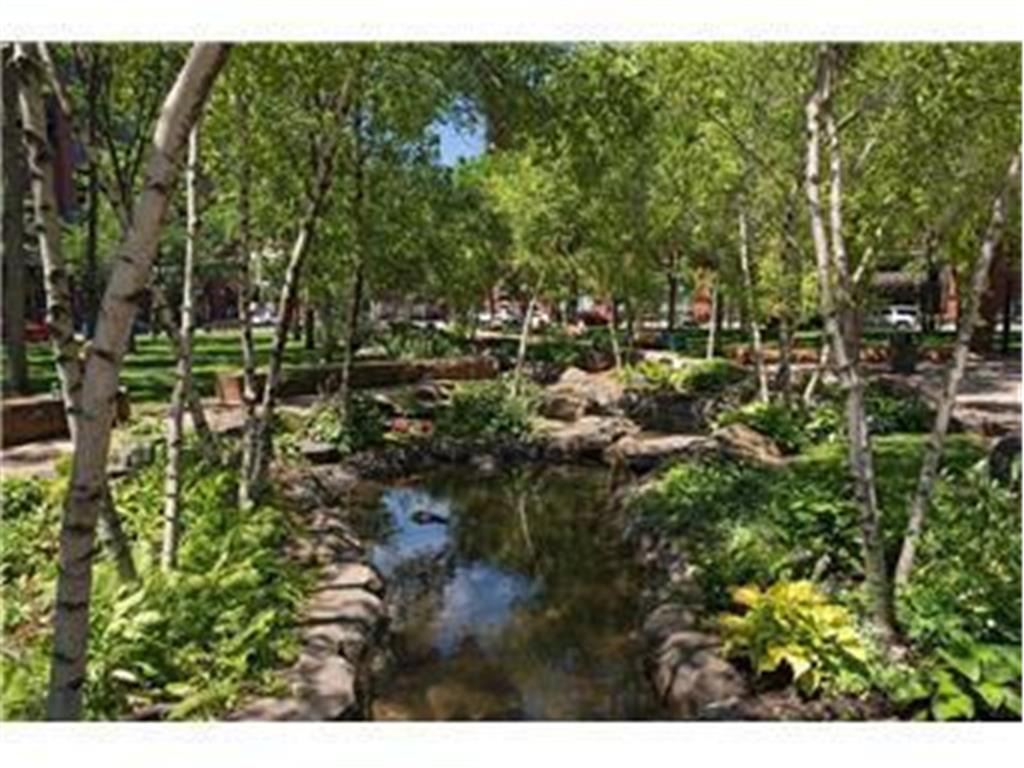 350 Saint Peter Street #307 Saint Paul MN 55102 6626536 image42