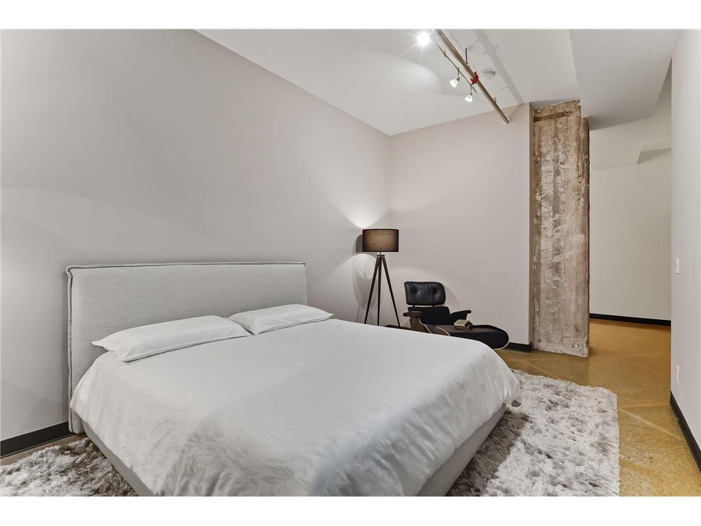 350 Saint Peter Street #308 Saint Paul MN 55102 7080982 image13