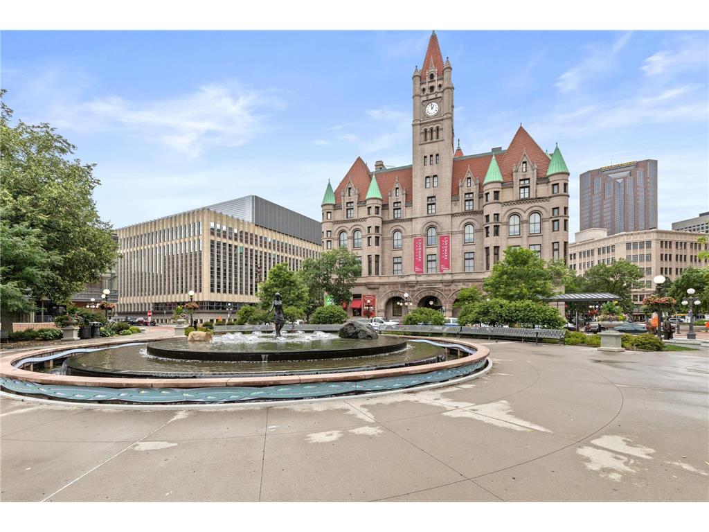 350 Saint Peter Street #317 Saint Paul MN 55102 6822354 image24