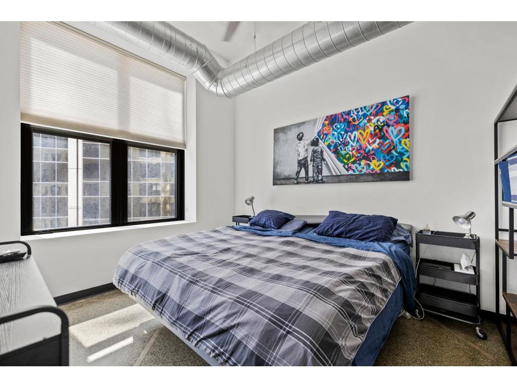 350 Saint Peter Street #707 Saint Paul MN 55102 6799332 image22