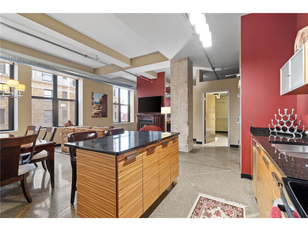 350 Saint Peter Street #802 Saint Paul MN 55102 7041227 image1