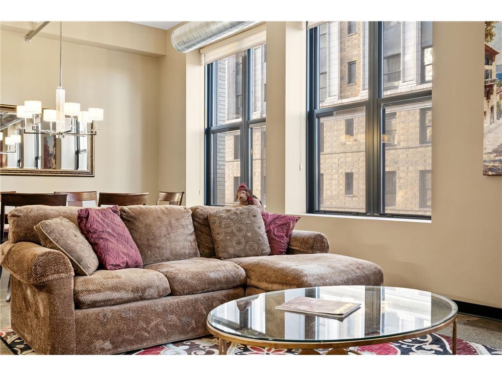 350 Saint Peter Street #802 Saint Paul MN 55102 7041227 image10