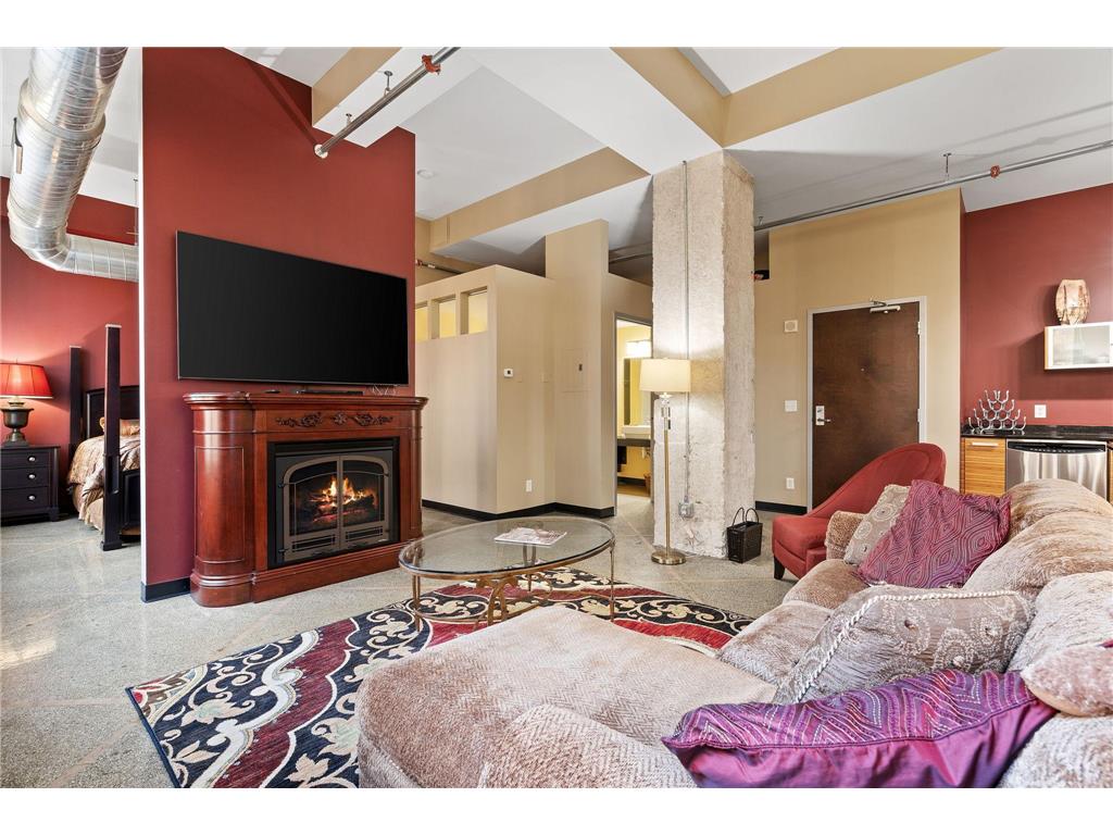 350 Saint Peter Street #802 Saint Paul MN 55102 7041227 image8