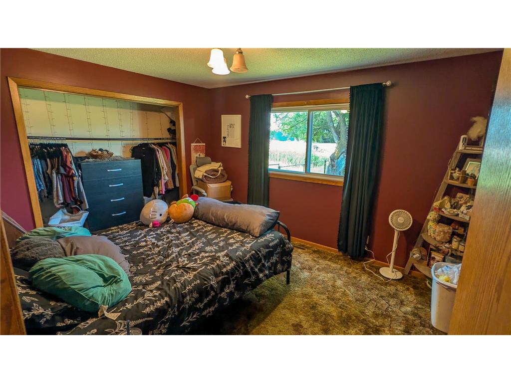 350 Thurman Street Wells MN 56097 7088366 image12
