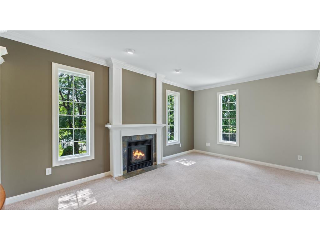 350 Trailstone Drive SW Cokato MN 55321 6805172 image7