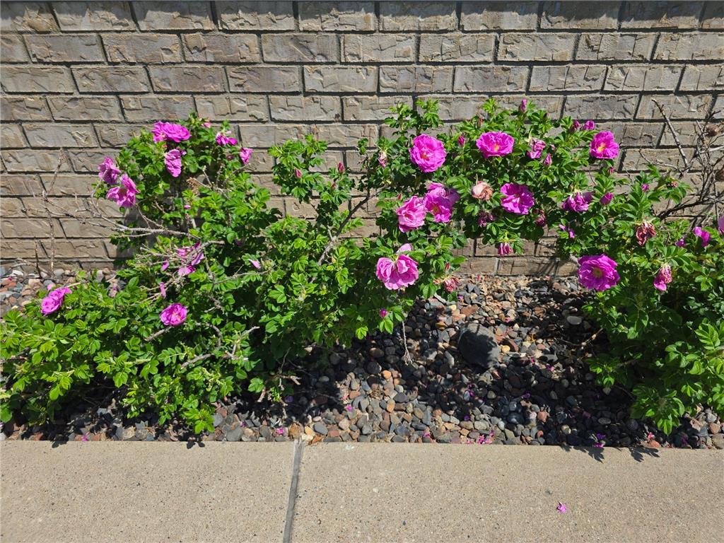 3502 Judd Trail Stillwater MN 55082 7088673 image5