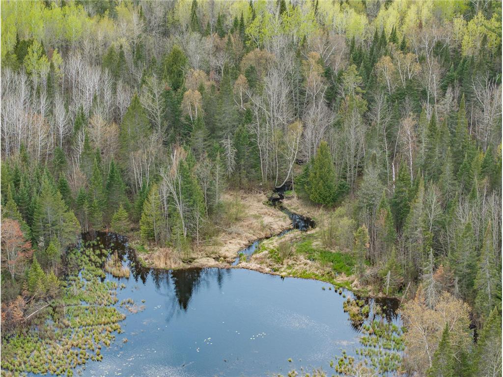 35020 E COUNTY LINE RD Spang Twp MN 55748 - Maple Lake 7079871 image20