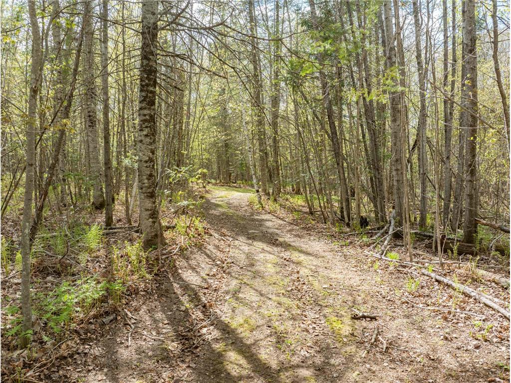 35020 E COUNTY LINE RD Spang Twp MN 55748 - Maple Lake 7079871 image23