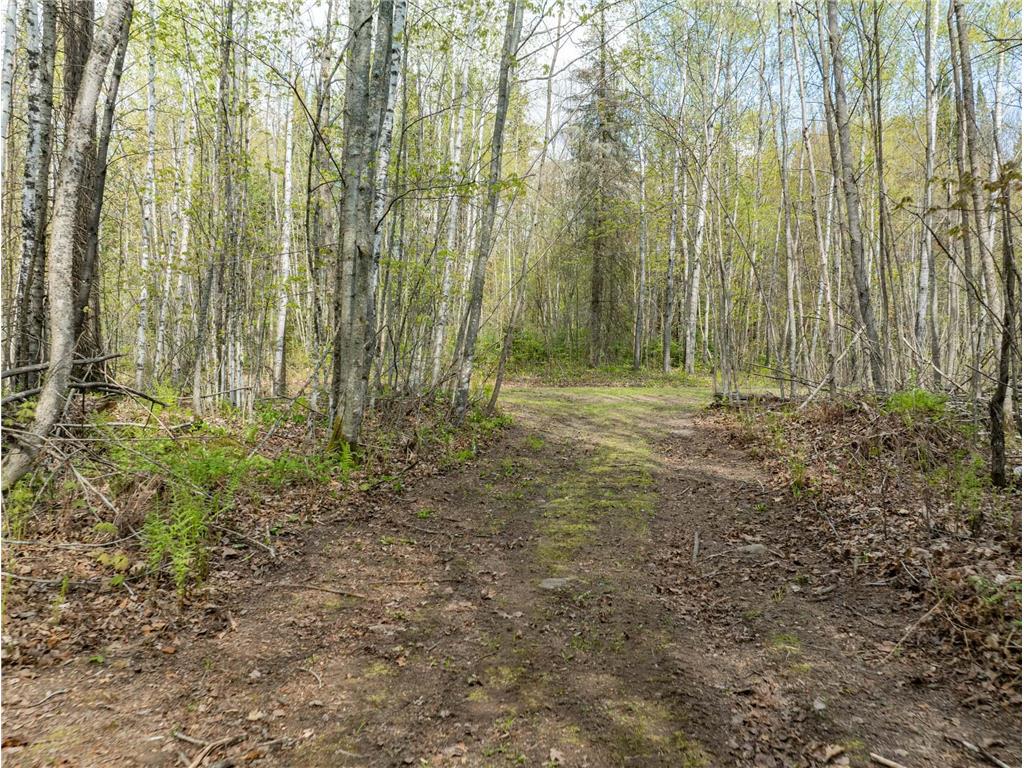 35020 E COUNTY LINE RD Spang Twp MN 55748 - Maple Lake 7079871 image25