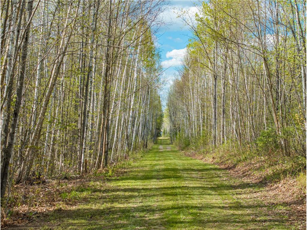 35020 E COUNTY LINE RD Spang Twp MN 55748 - Maple Lake 7079871 image26