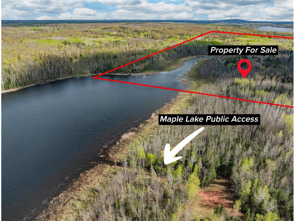 35020 E COUNTY LINE RD Spang Twp MN 55748 - Maple Lake 7079871 image28
