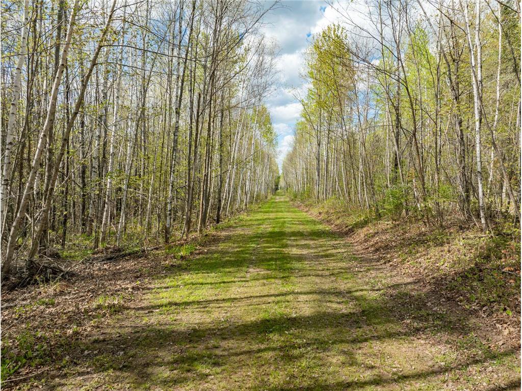 35020 E COUNTY LINE RD Spang Twp MN 55748 - Maple Lake 7079871 image4