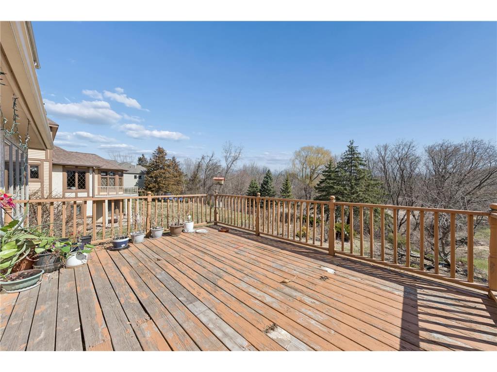 3510 Wedgewood Lane N Plymouth MN 55441 7053880 image38