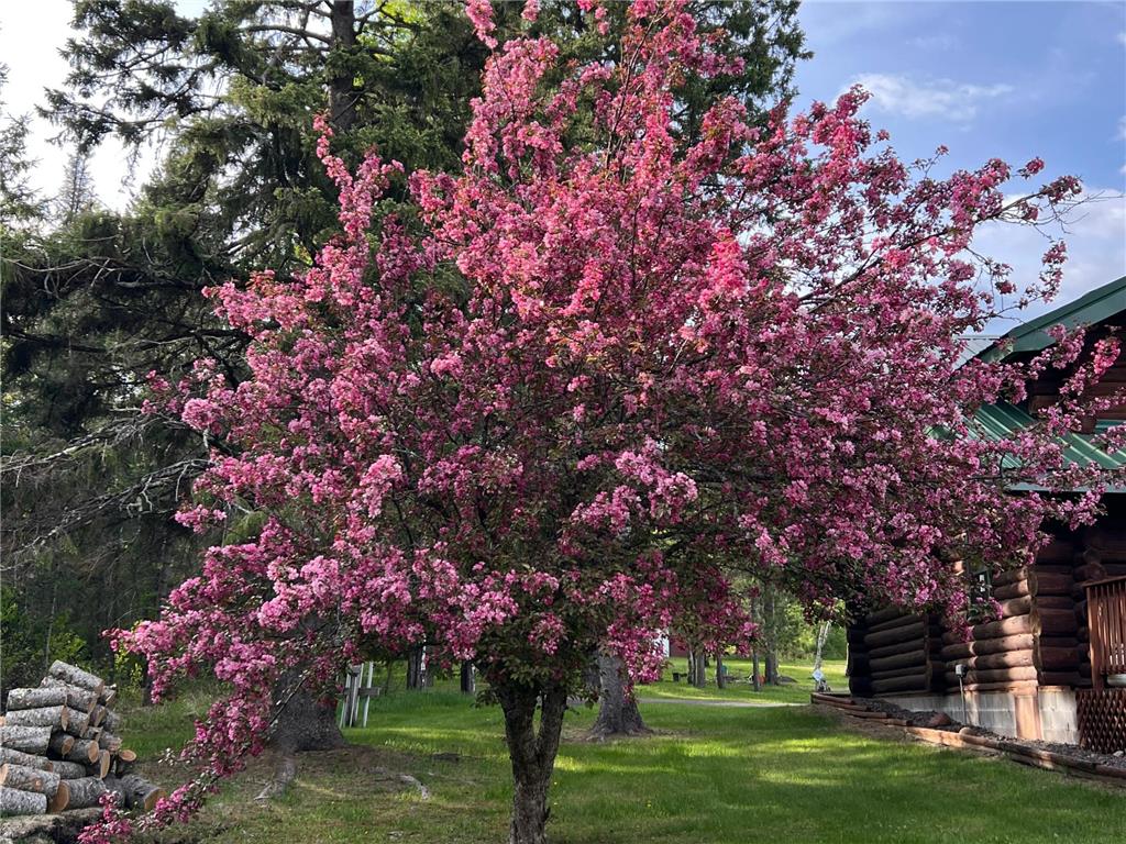 3512 Ahola Rd. Brimson MN 55602 6703558 image23