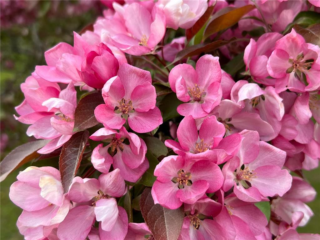 3512 Ahola Rd. Brimson MN 55602 6703558 image24