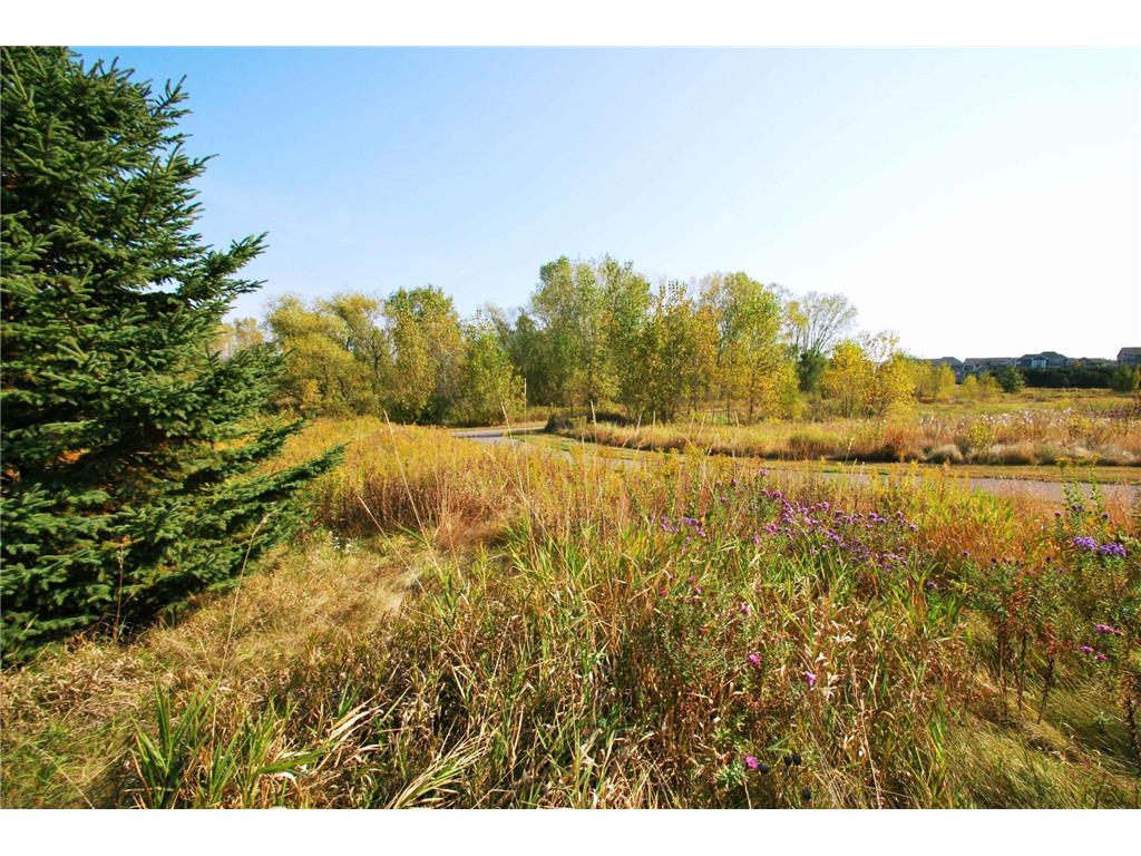 3514 Cherry Lane #D Woodbury MN 55129 6755136 image46