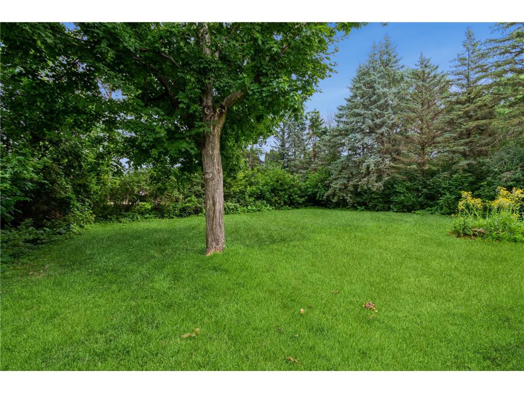 3516 78th Avenue N Brooklyn Park MN 55443 6770325 image11