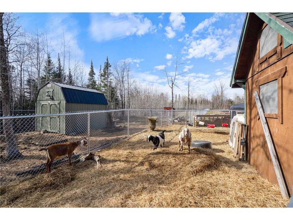 3521 Fire Trail Fayal Twp MN 55734 7054008 image46