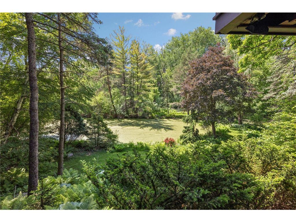 3530 Ridgewood Road Arden Hills MN 55112 - Johanna 7092068 image35