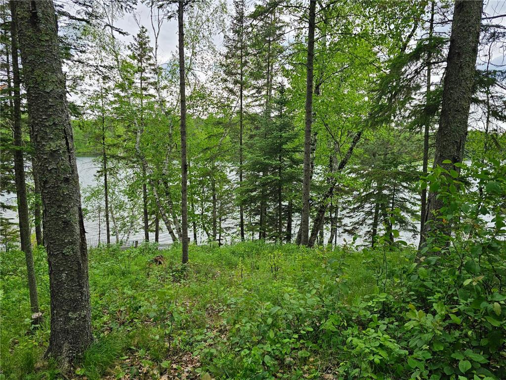 35365 E Boot Lake Road Park Rapids MN 56470 - Boot Lake 7063640 image59