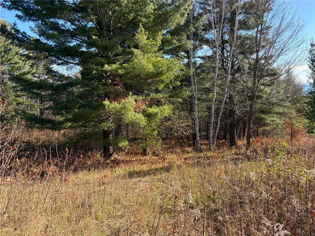 35365 Old Orchard Lane Bayfield WI 54814 7022998 image30